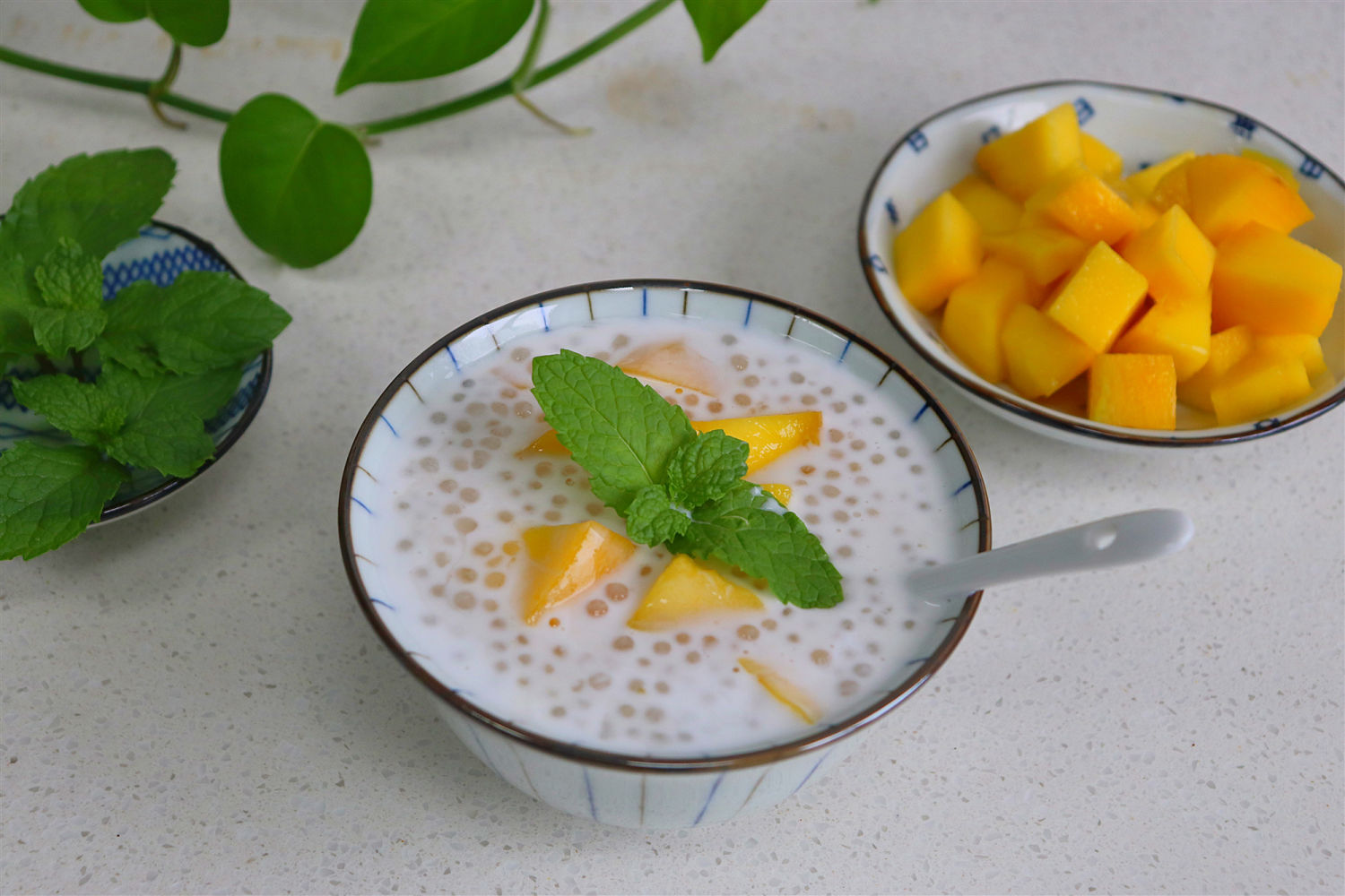 夏天甜品,椰浆芒果西米露,冰爽解渴简单好吃