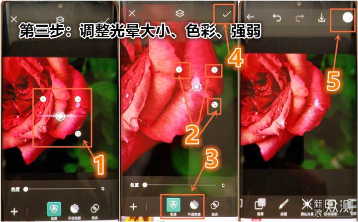 一盆普通绿植的N种拍法|教你宅家手机拍美片_新浪众测