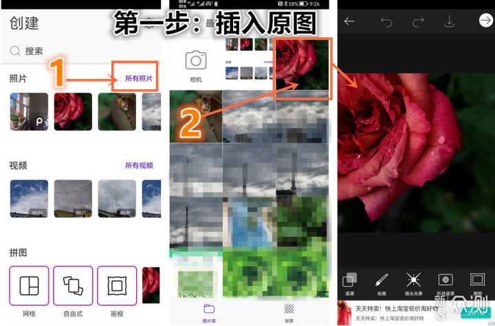 一盆普通绿植的N种拍法|教你宅家手机拍美片_新浪众测