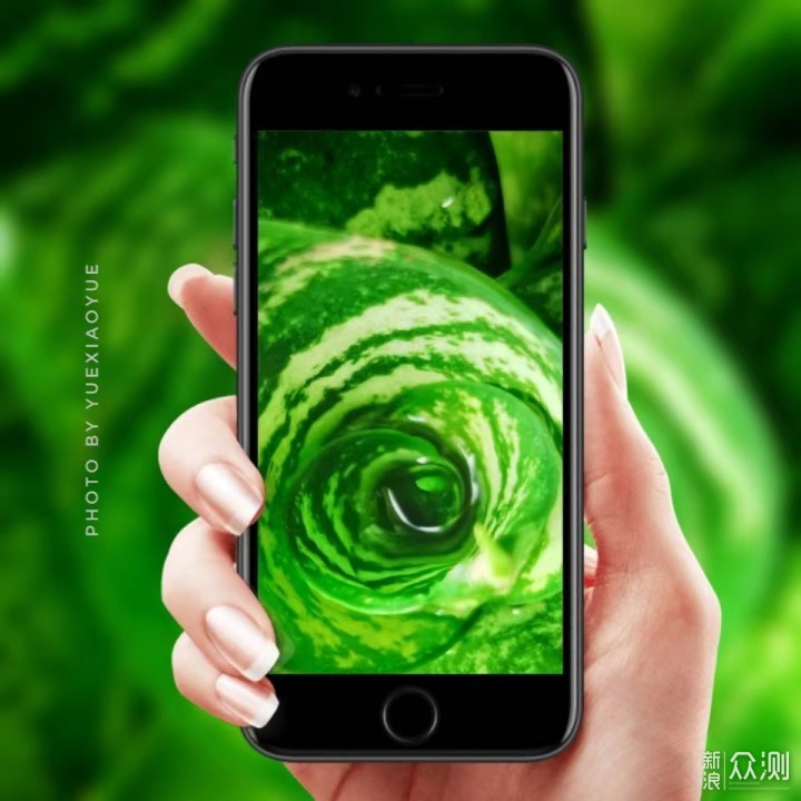 一盆普通绿植的N种拍法|教你宅家手机拍美片_新浪众测