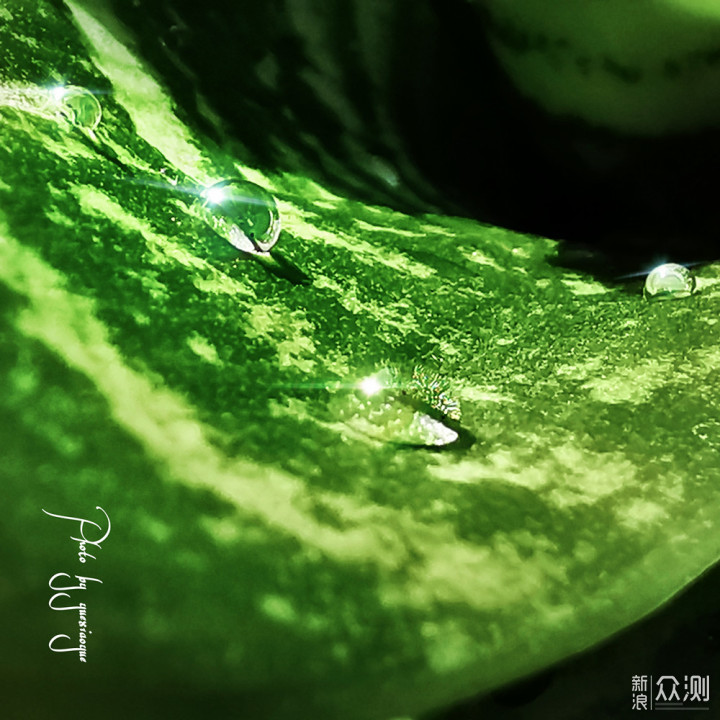 一盆普通绿植的N种拍法|教你宅家手机拍美片_新浪众测