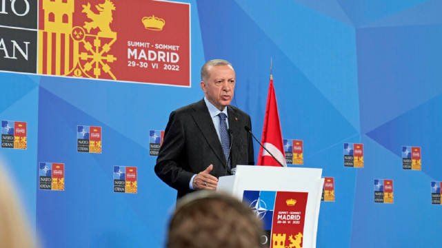 土耳其总统：北约应以和平愿景支持乌克兰