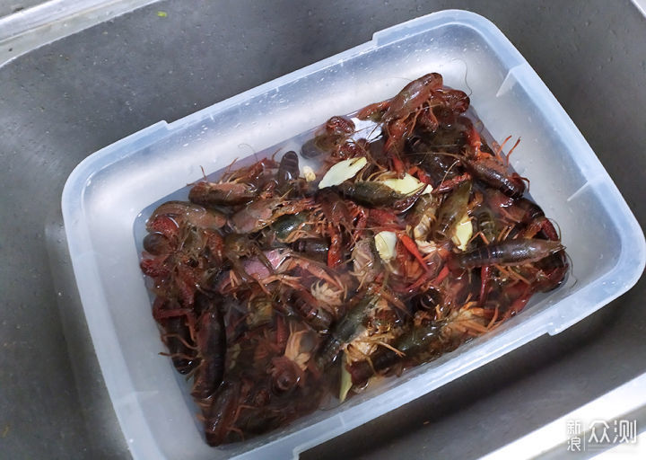 这样做的小龙虾, 简单高效, 对象边吃边说好_新浪众测