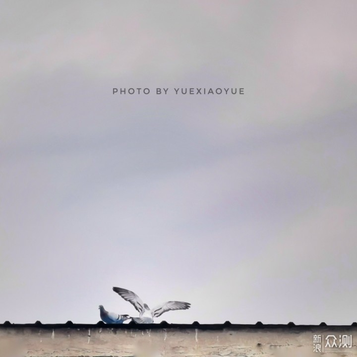 普通环境手机也能拍出