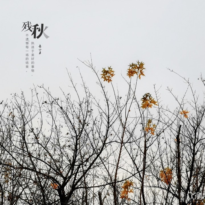 坏天气拍不出“好照片”？手机4招拍美阴雨天_新浪众测