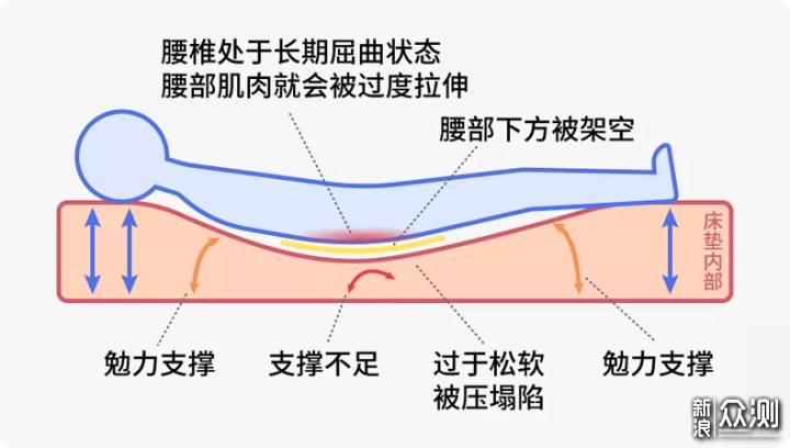 睡出好身体，金可儿乳胶床垫体验_新浪众测