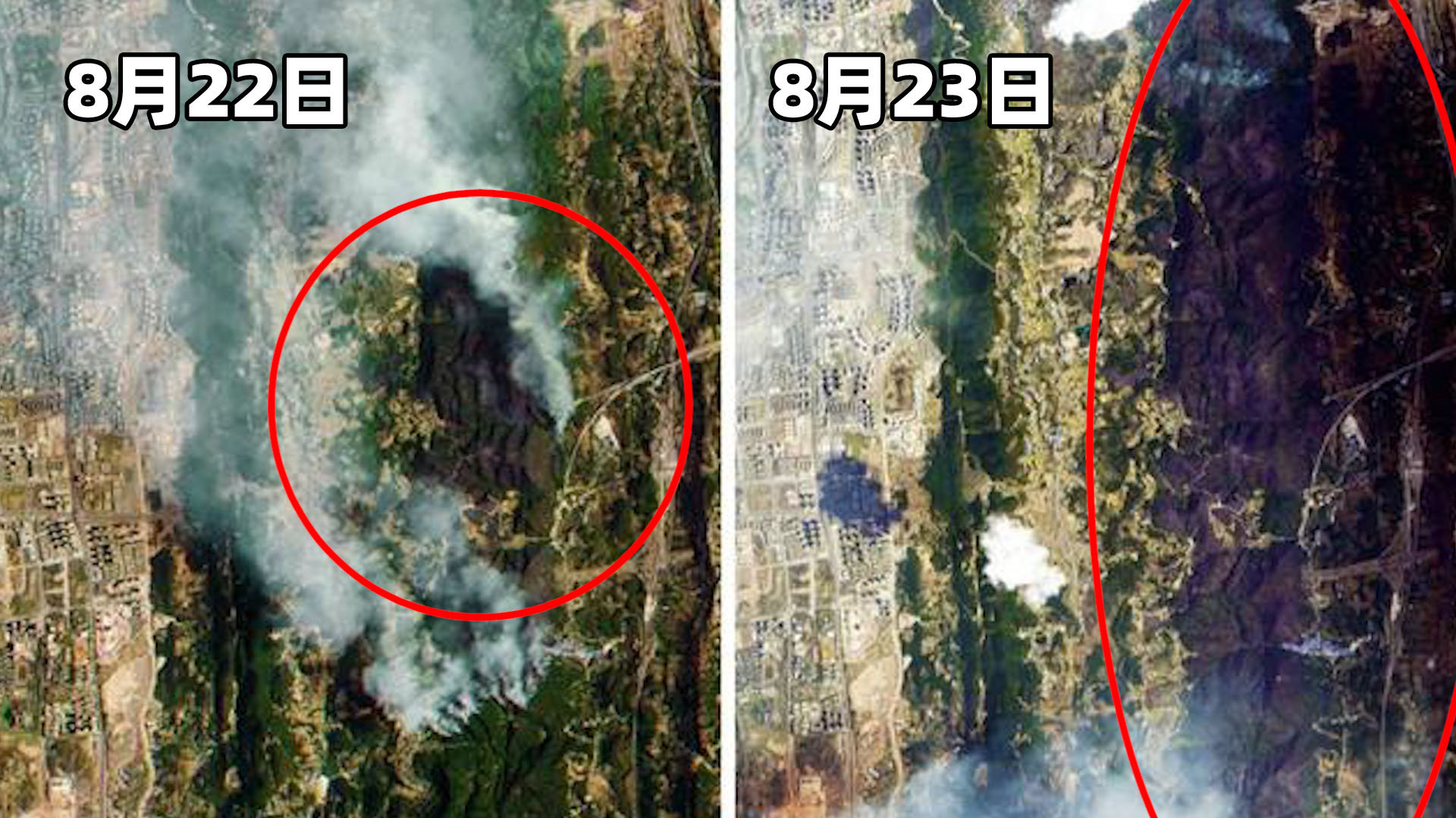 重庆巴南山火明火扑灭，卫星图对比令人心痛，航拍镜头下满目疮痍|重庆市|火灾|紫灰色|卫星影像|着火点_手机新浪网