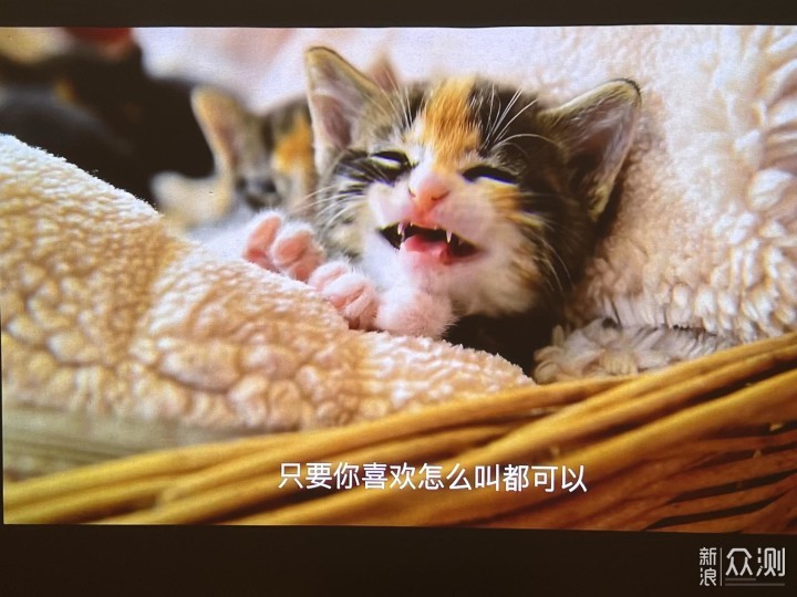 还没享受到卧室白墙也能体验的巨幕电影快感？_新浪众测