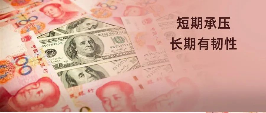 强势美元回归，人民币后市如何走