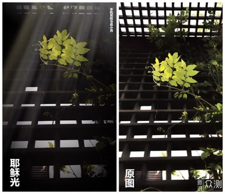 手机如何拍美“丁达尔光”？试试这３招_新浪众测