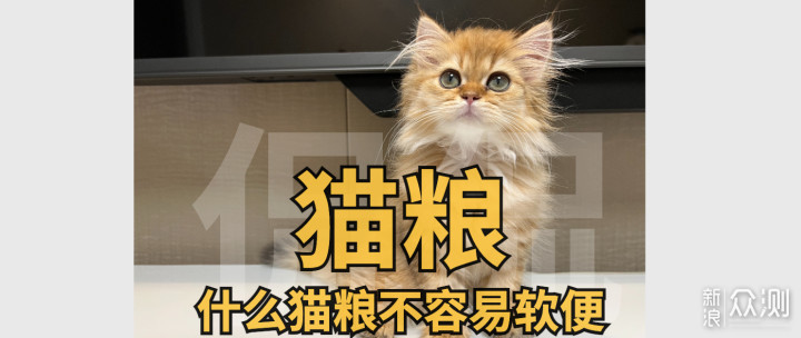 猫咪吃什么猫粮不容易软便？_新浪众测