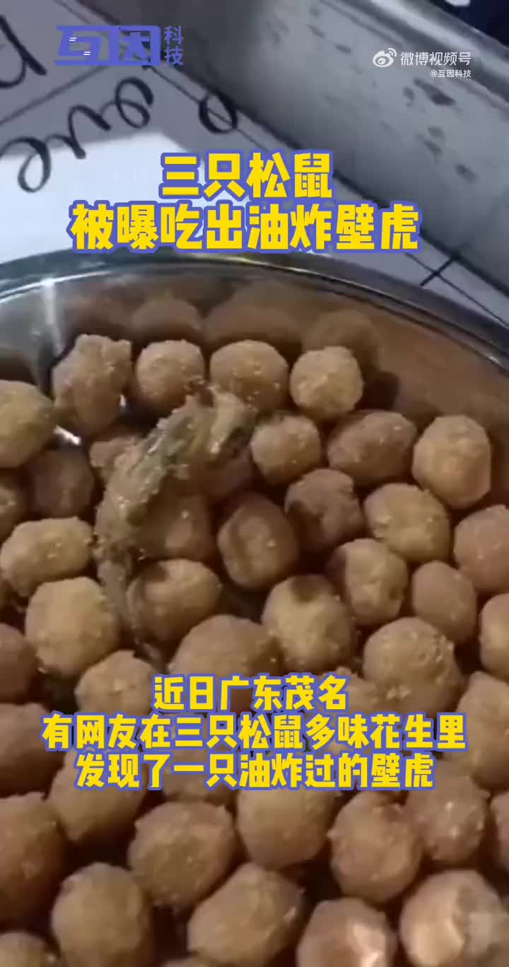 三只松鼠被曝吃出油炸壁虎
