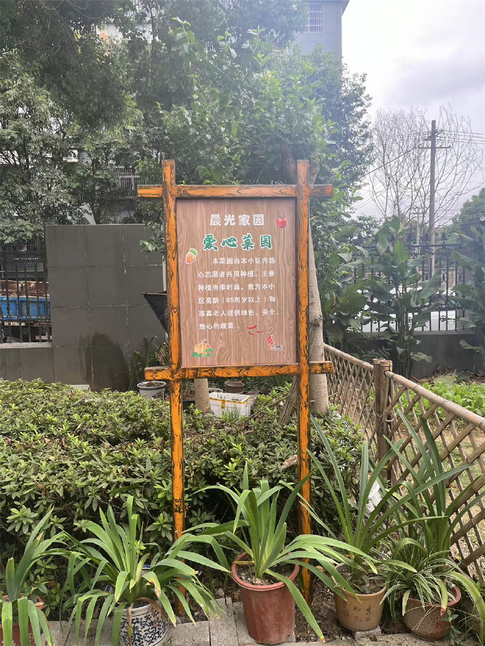 余姚"爱心菜园"的"爱心菜" 给老人们带去温暖