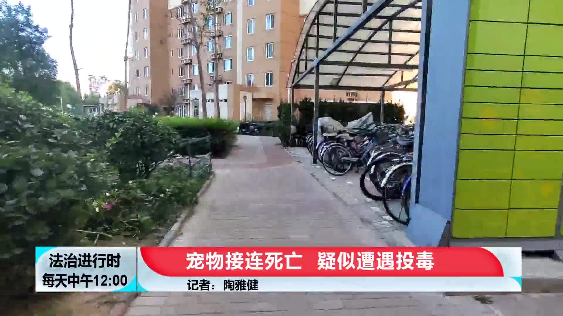 小区内宠物接连死亡 疑似遭遇投毒_手机新浪网