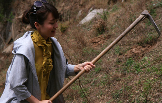 旅游卫视主持人林恒挥锄认真植树