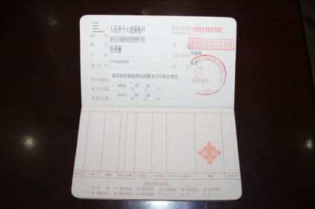 2010年7月项目总体进展情况概述