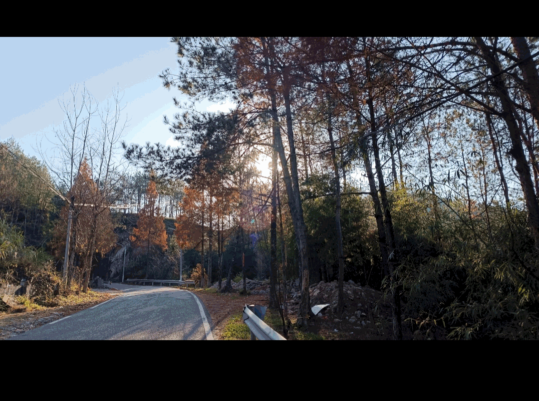 千元機也有旗艦拍攝體驗:Redmi Note 12 Pro_新浪眾測