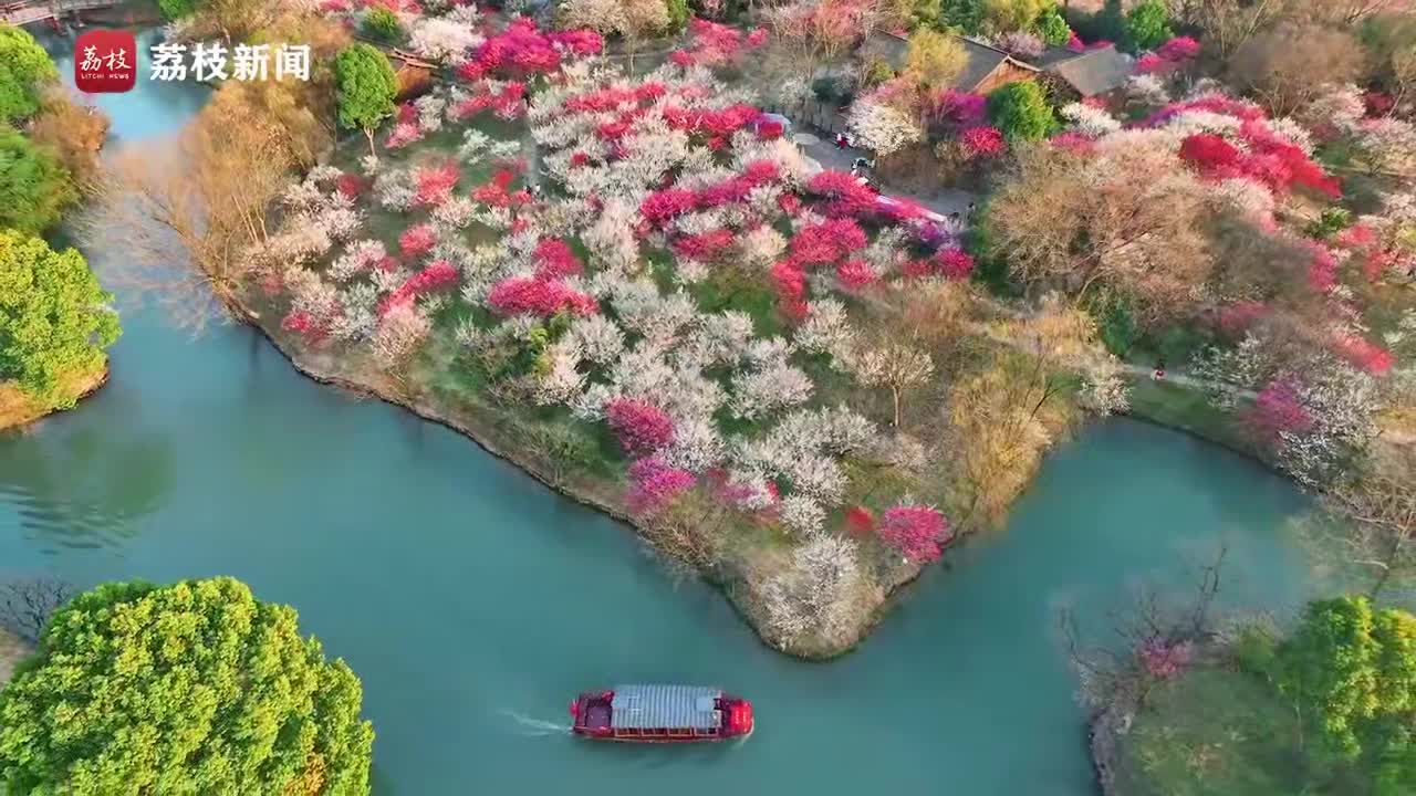 杭州西溪湿地乘船赏梅怎一个美字了得_手机新浪网