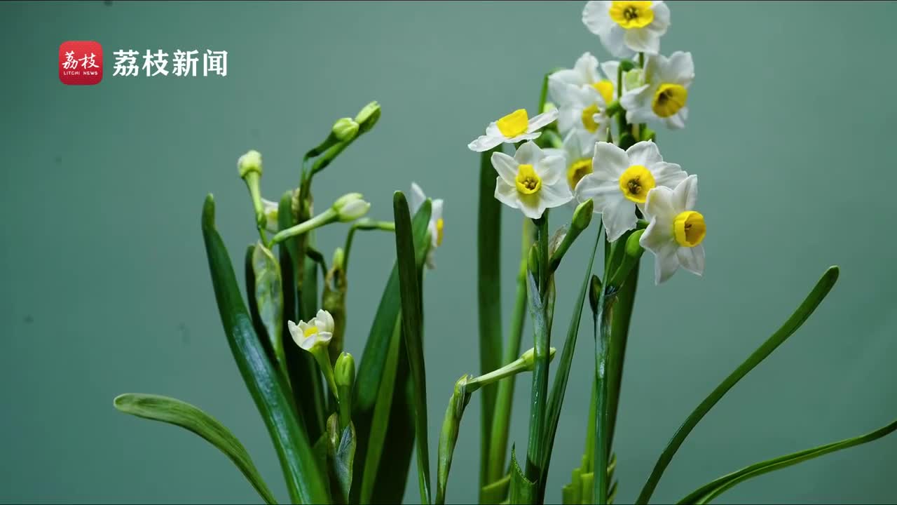亲爱的隐居先生