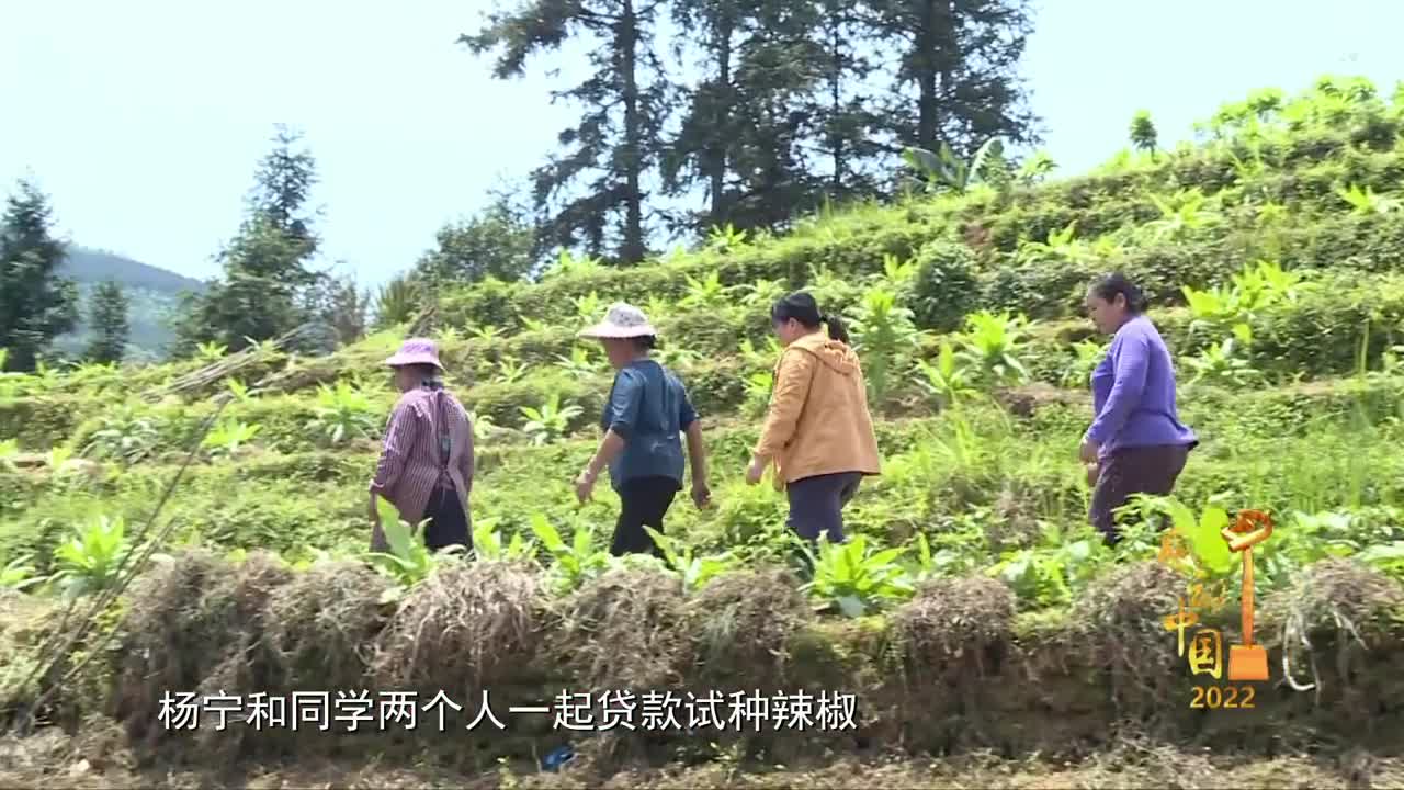 感动中国年度人物颁奖:杨宁_手机新浪网