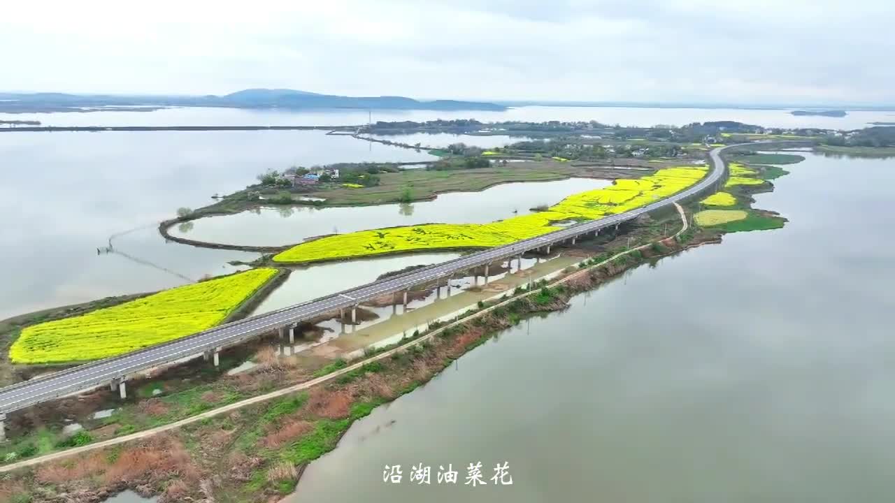 桐城:嬉子湖畔 梦里水乡