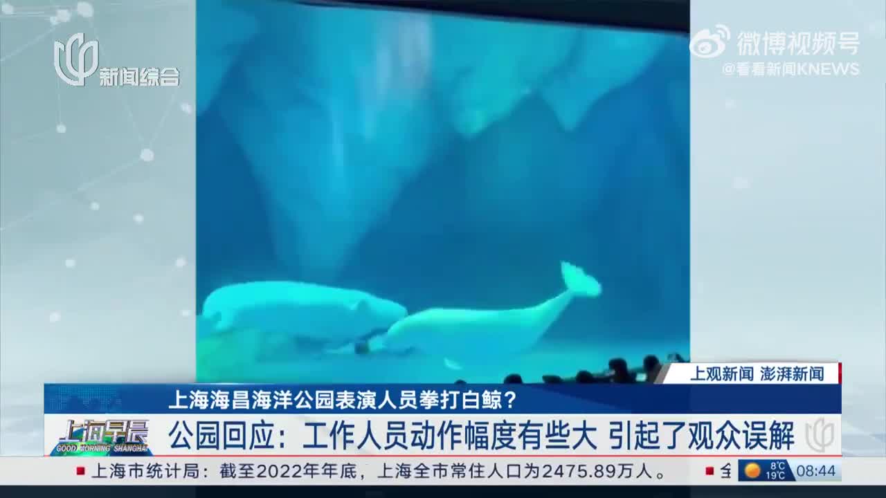 白鲸视频海洋 d363-132591a0e0e0637b2afee2654f6ad20b.jpg