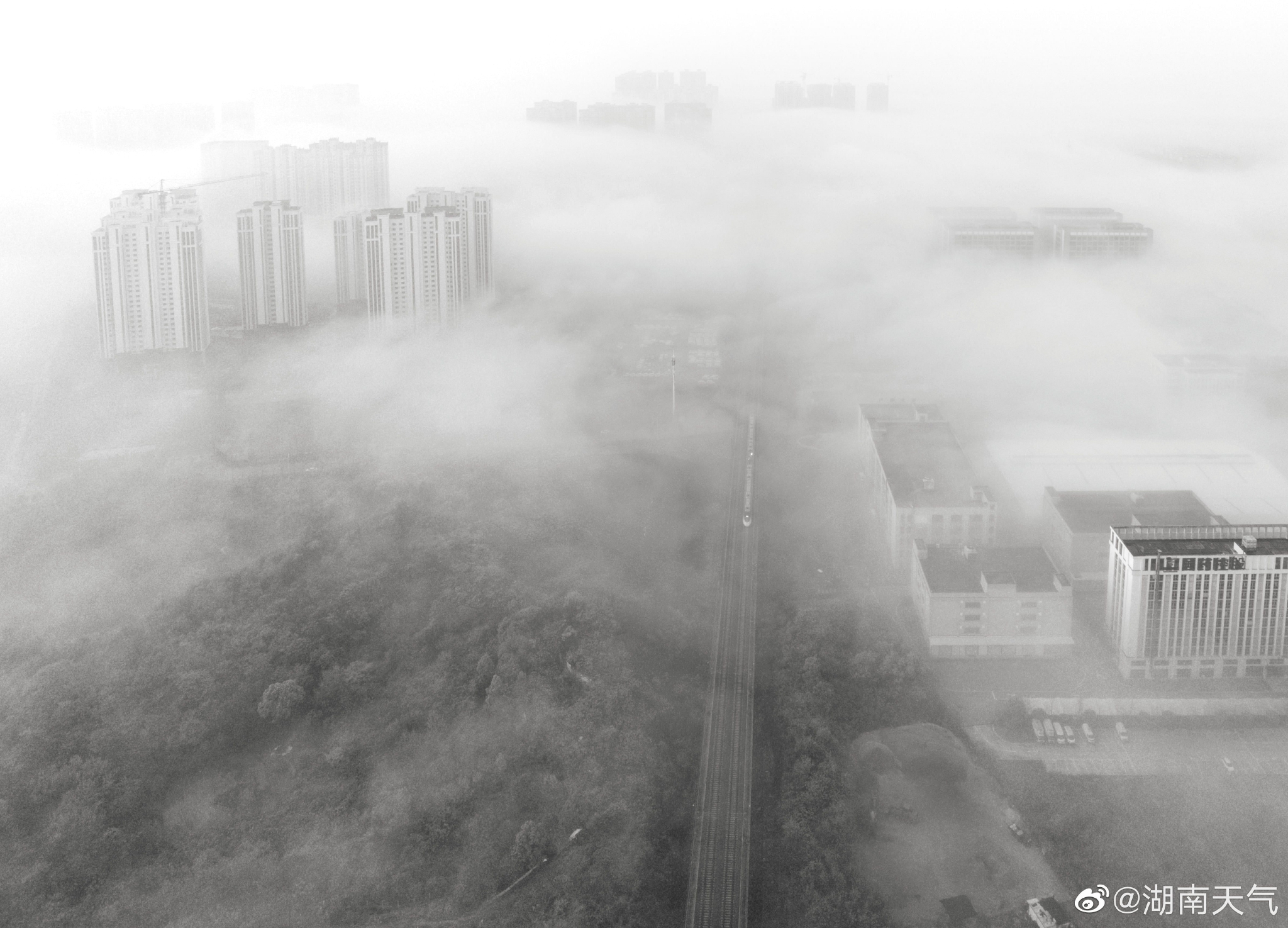 湖南多地出现大雾天气|晨雾|宛如仙境|城市_手机新浪网