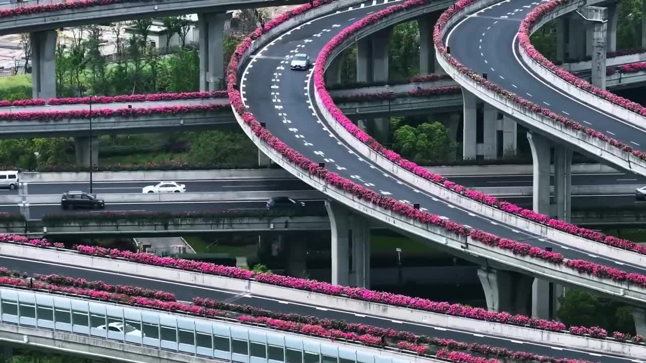 杭州高架镶上花边好浪漫