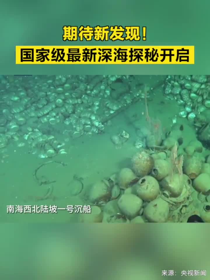 的精彩演员阵容