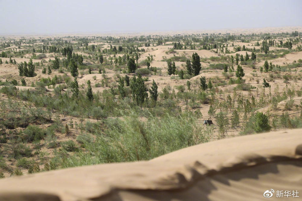 富阳获评中国践行绿色发展"新标杆"城市