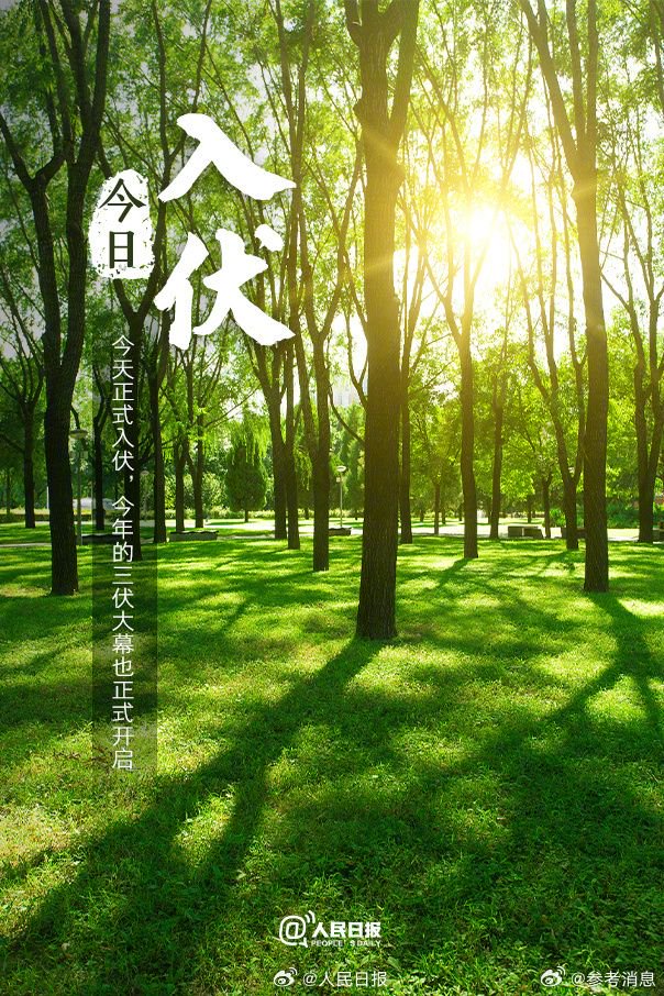 今天才入伏 - 新浪香港