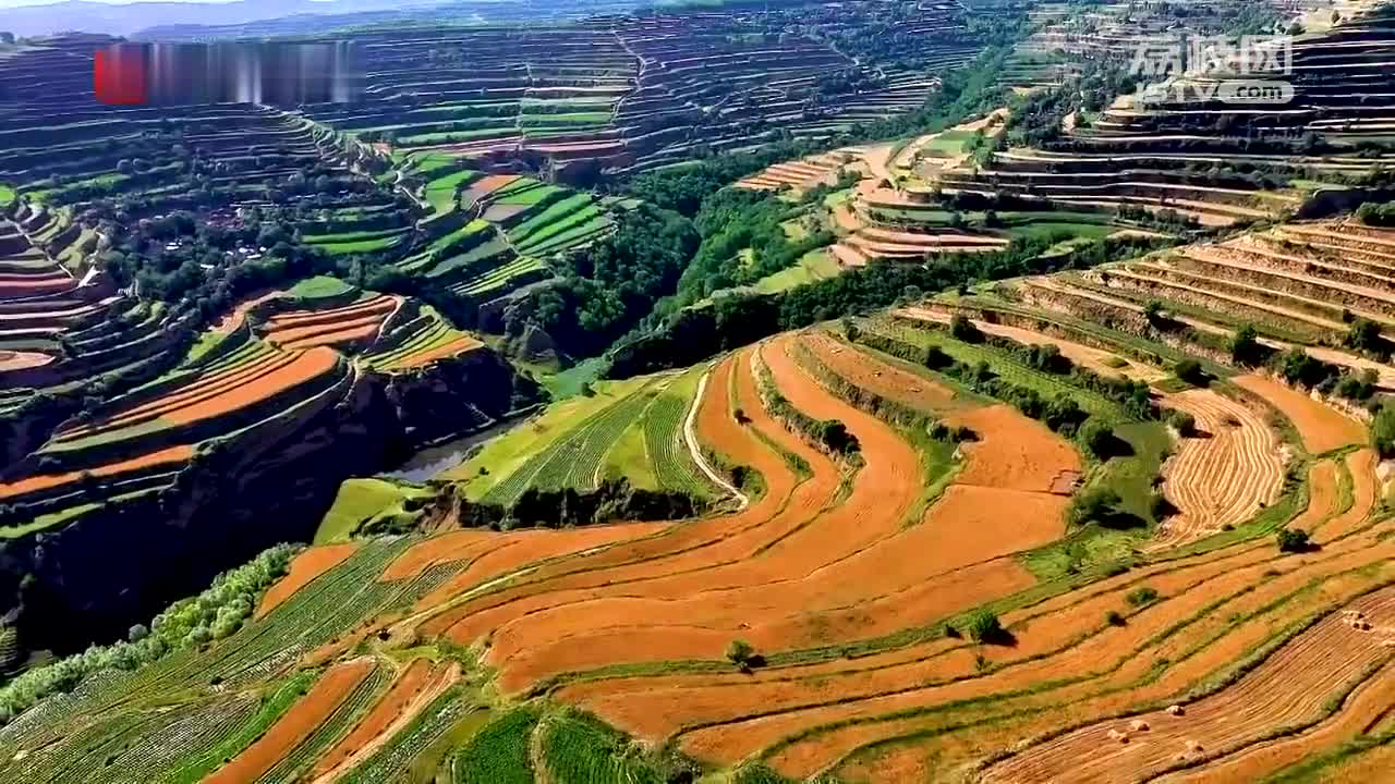 五彩斑斓!夏日甘肃庄浪梯田如调色板