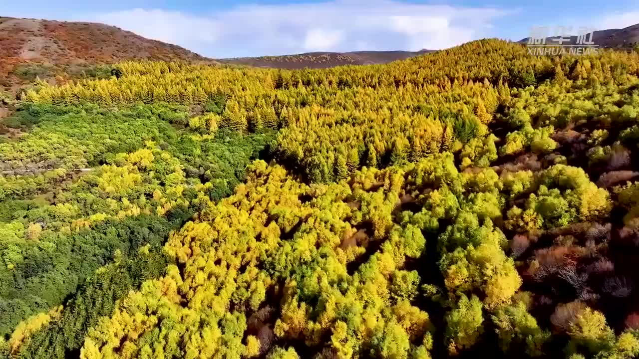 宁夏海原:层林尽染南华山
