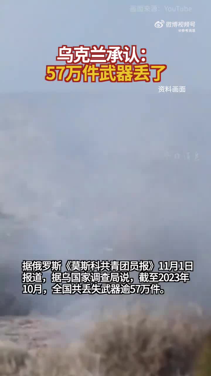 乌克兰卖掉的武器有多少