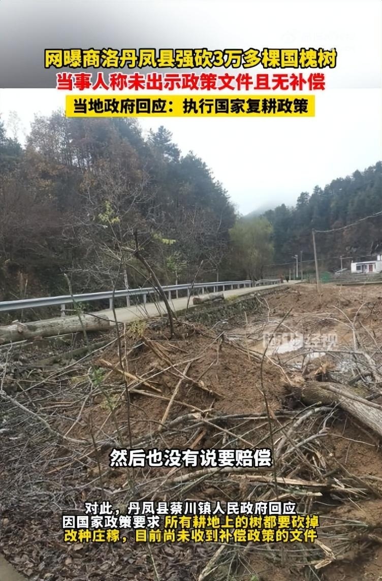 五一调休众生相：当“借周末补工作日”遇上德国单日假期