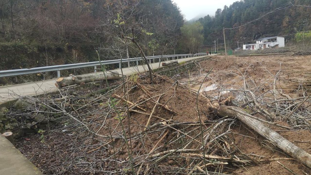 大连主场78%胜率：重庆铜梁龙8轮丢6球防线能否破局v3.2.9 官方安卓版