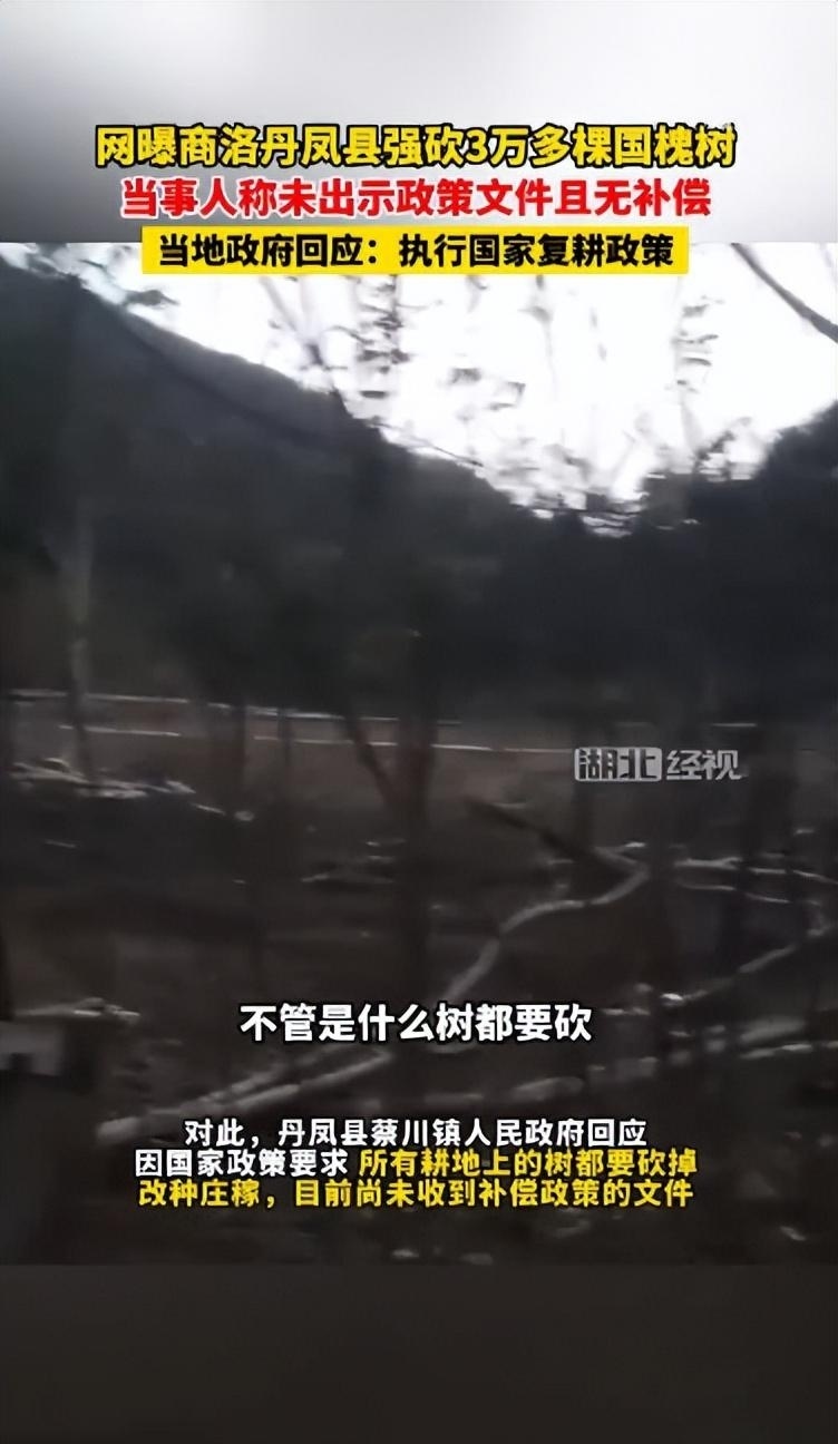 要不咱们小酌一杯？特朗普为了查尔斯三世取消威士忌关税