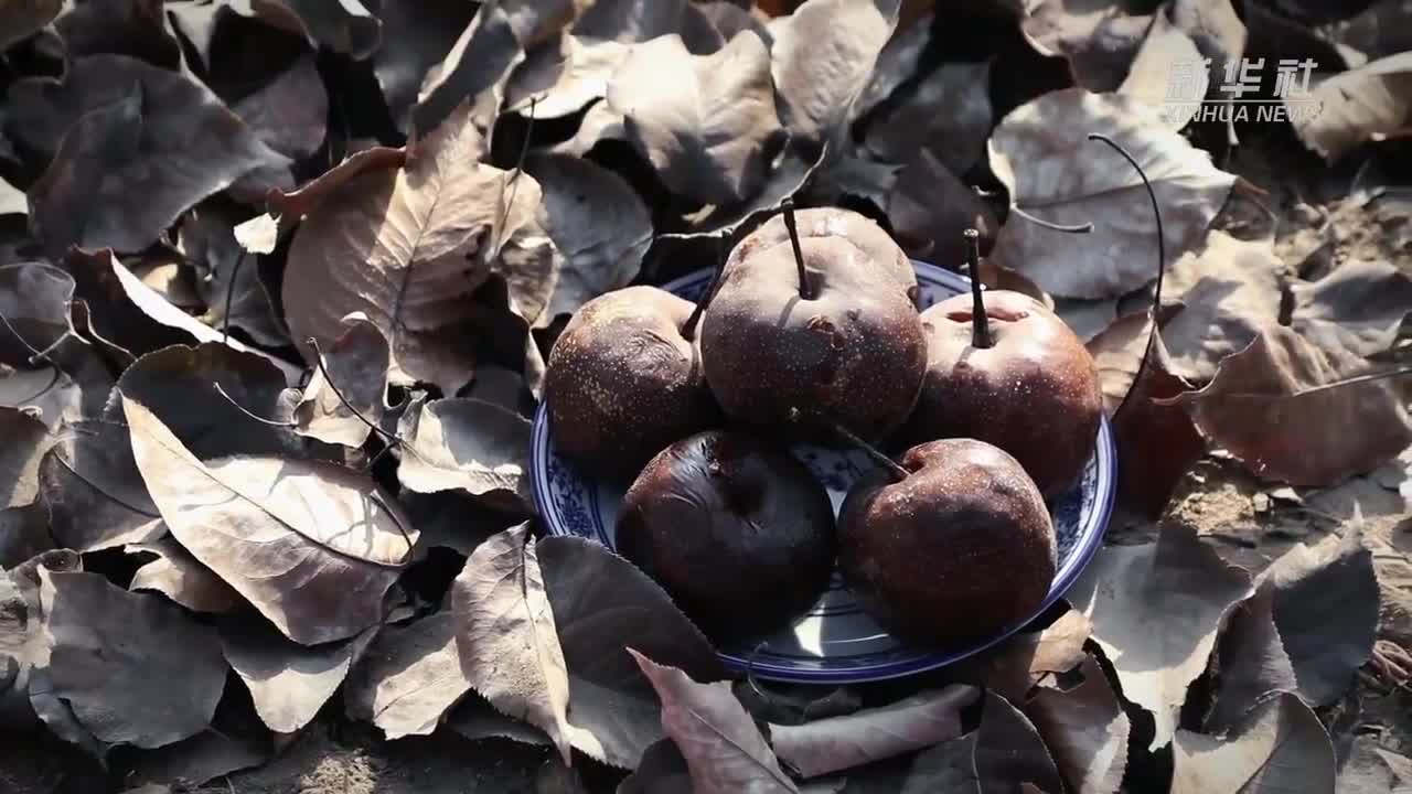兰州软儿梨 东方"哈根达斯"