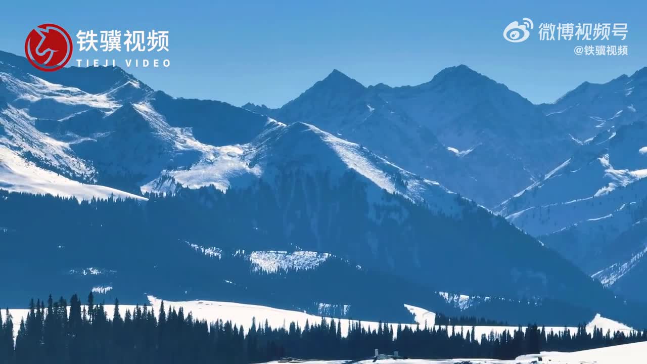 草原变雪原:雪雪雪好厚的雪