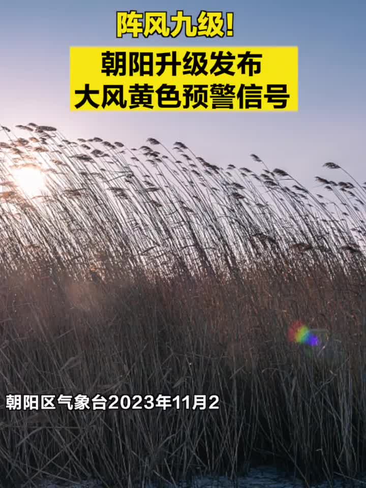 阵风九级!朝阳升级发布大风黄色预警信号_手机新浪网