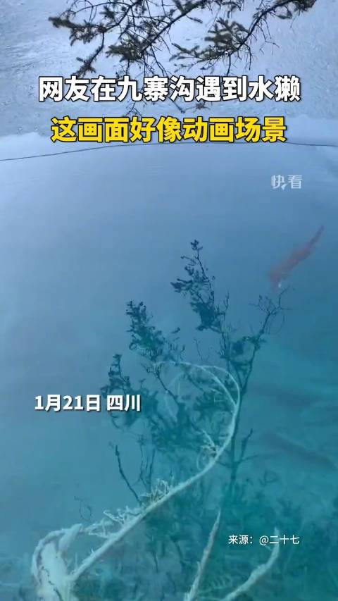 滴水苗寨游玩攻略,滴水苗寨游玩攻略大全