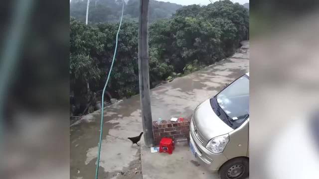 60秒看孩子父母不舍分别：纵有万般不舍，也要挥手再见