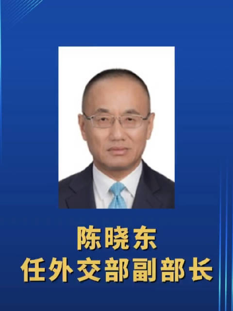 任命陈晓东为外交部副部长