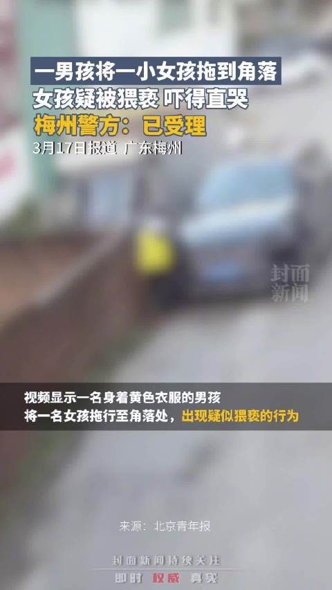警方回应男孩疑拖拽猥亵小女孩：已受理该案_手机新浪网