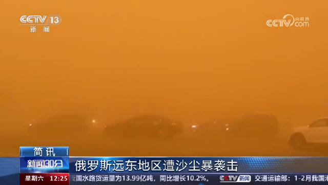 俄罗斯一地沙尘暴能见度为0