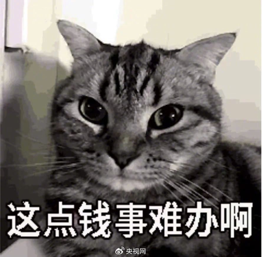 五一出行不踩坑！鸿蒙应用自带出游buff，逛吃游玩全拿捏