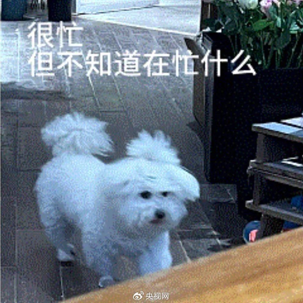 沐曦股份一季报出炉，营收大幅增长但亏损还在继续