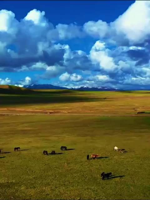 畅游祁连美景,尽享民族风情,魅力肃北欢迎您!