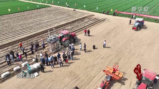 河北蠡县:机械化促麻山药产业高质量发展