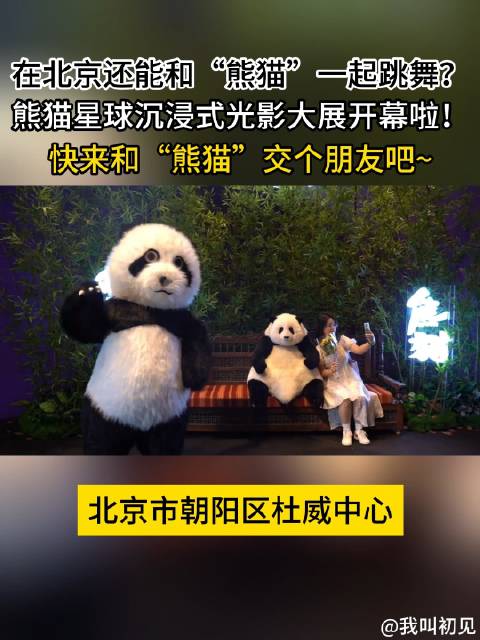 北京熊猫星球沉浸式光影大展开幕啦